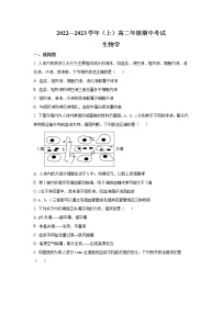 河南省安阳市2022-2023学年高二生物上学期期中考试试卷（Word版附答案）