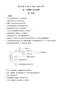 2022-2023学年甘肃省兰州市西北师范大学附属中学高三上学期期中考试 生物(解析版）