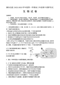 2022-2023学年河北省冀东名校高三上学期期中调研考试 生物