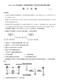 2022-2023学年新疆维吾尔自治区和田地区于田县高三上学期11月期中生物试题