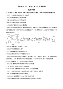 重庆市南开中学2022-2023学年高三上学期11月月考试题 生物（word版）