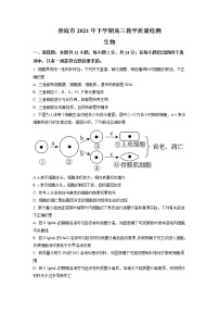 2022届湖南省娄底市高三上学期期末教学质量检测  生物