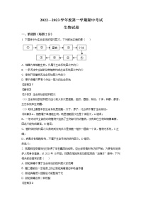 2023淄博沂源县二中高一上学期期中考试生物试题含解析