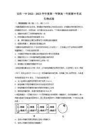 2022-2023学年安徽省安庆市一中高一上学期期中考试生物试卷