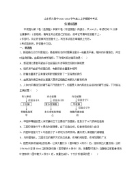 2021-2022学年山东省济南市山东师大附中高二上学期期中考试生物试题 解析版