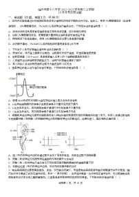 2022-2023学年山东省临沂市第十八中学高二上学期10月月考生物试题（Word版）