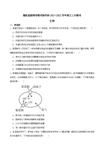 2022届湖北省新高考联考协作体高三2月联考生物（解析版）