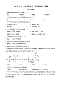 精品解析：北京市东城区2020-2021学年高一上学期期末生物试题