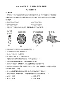 精品解析：黑龙江大庆市东风中学2020-2021学年高一上学期期末教学质量检测生物试题