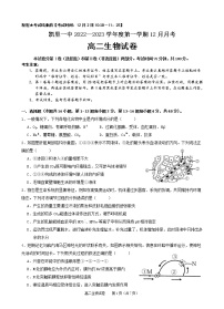 2022-2023学年贵州省黔东南州凯里市第一中学高二上学期12月月考生物试题 word版