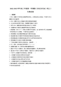 2022_2023学年甘肃省武威第六中学高三上学期第三次阶段性考试生物试题（解析版）