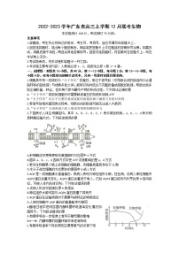 2022-2023学年广东省高三上学期12月联考生物试题 word版