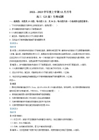 2022-2023学年辽宁省沈阳市二中高三上学期12月阶段测试 生物（解析版）