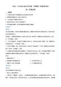 2022-2023学年河北省沧州市任丘市一中高一上学期期中生物试题（解析版）