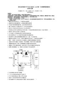 2023届湖北省夷陵中学高三元月第一次调研模拟测试生物试题