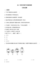 精品解析：山东省临沂市2019-2020学年高一下学期期末生物试题