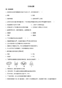 精品解析：天津市滨海新区大港太平村中学2019-2020学年高一下学期期末质量检测生物试题