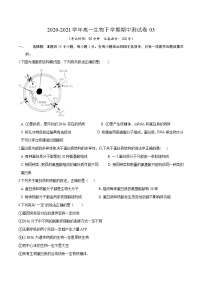 2020-2021学年高一生物下学期期中测试卷03（人教版2019必修2）