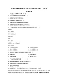 湖南省株洲市天元区2022-2023学年高一生物上学期12月月考试卷（Word版附答案）