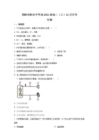 简阳市阳安中学2022-2023学年高二生物上学期12月月考试卷（Word版附答案）