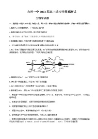 2022-2023学年湖南省永州市第一中学高三上学期元月考试生物试卷含答案