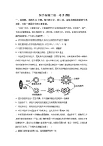 2023届湖南省衡阳市高三上学期第一次统一考试（一模）生物试题含答案