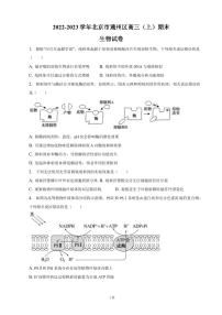 2022-2023学年北京市通州区高三上学期期末生物试卷PDF版含答案