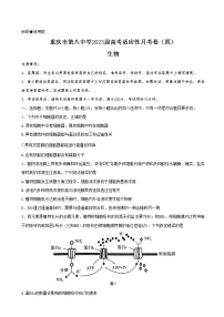 2023届重庆市第八中学校高考适应性月考卷（四）生物试卷PDF版含答案