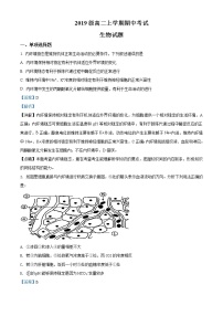 期中 山东省济南市一中2020-2021学年高二上学期期中生物试题（解析版）