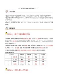 高中生物人教版 (2019)必修1《分子与细胞》一 捕获光能的色素和结构第1课时导学案及答案