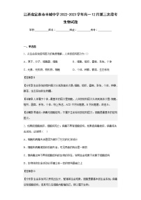 2022-2023学年江西省宜春市丰城中学高一12月第三次段考生物试题含解析