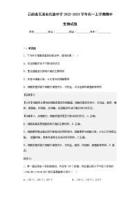 2022-2023学年云南省玉溪市民族中学高一上学期期中生物试题含解析