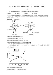 2022-2023学年北京市顺义区高三上学期期末生物试卷（一模）（word版）