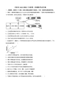 2022-2023学年河南省开封市高三上学期第一次模拟考试生物试题（解析版）