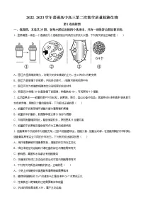 2022-2023学年河南省信阳市高三上学期第二次质量检测生物试题（解析版）