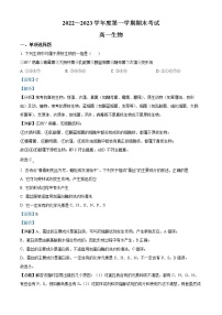 2022-2023学年广东省茂名市电白区高一上学期期末生物试题（解析版）