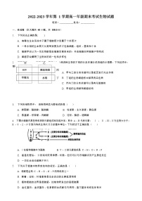 2022-2023学年陕西省榆林市府谷中学上学期高一年级期末质量检测生物试题