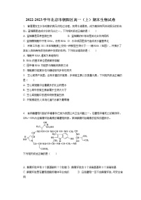 2022-2023学年北京市朝阳区高一（上）期末生物试卷（含答案解析）