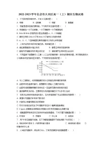 2022-2023学年北京市大兴区高一(上)期末生物试卷(含答案解析)