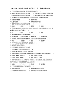 2022-2023学年北京市东城区高一（上）期末生物试卷（含答案解析）