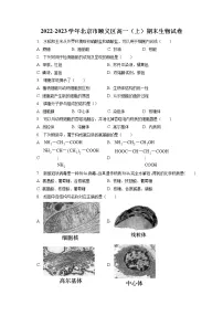 2022-2023学年北京市顺义区高一(上)期末生物试卷(含答案解析)