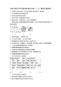 2022-2023学年吉林省长春五中高一(上)期末生物试卷(含答案解析)