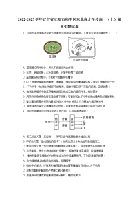 2022-2023学年辽宁省沈阳市和平区东北育才学校高一（上）期末生物试卷（含答案解析）