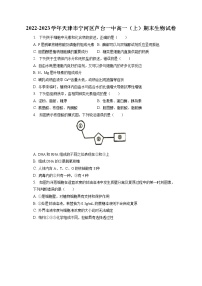 2022-2023学年天津市宁河区芦台一中高一（上）期末生物试卷（含答案解析）