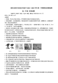 2023湖北省部分省级示范高中（四校联考）高二上学期期末测试生物试题含答案