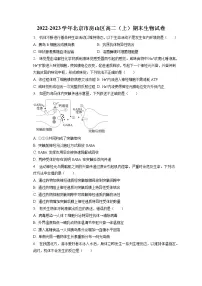 2022-2023学年北京市房山区高二（上）期末生物试卷(含答案解析)