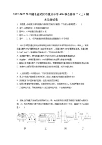 2022-2023学年湖北省武汉市重点中学4G_联合体高二（上）期末生物试卷(含答案解析)