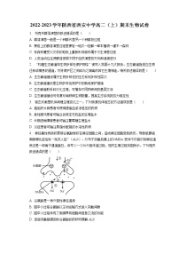 2022-2023学年陕西省西安中学高二（上）期末生物试卷(含答案解析)