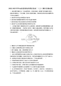 2022-2023学年山东省青岛市四区县高二（上）期末生物试卷(含答案解析)