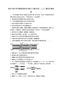 2022-2023学年陕西省西安市西工大附中高二（上）期末生物试卷(含答案解析)